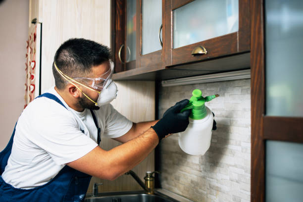 Best Wildlife Control Services  in Juno Beach, FL