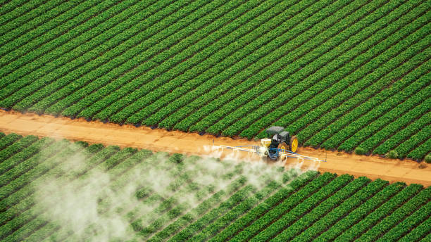 Reliable Juno Beach, FL Pest Control Solutions